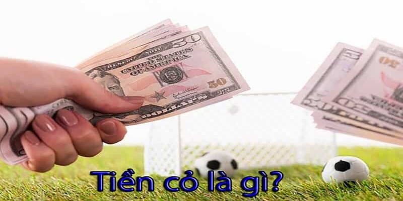 Tận dụng các công cụ cá độ